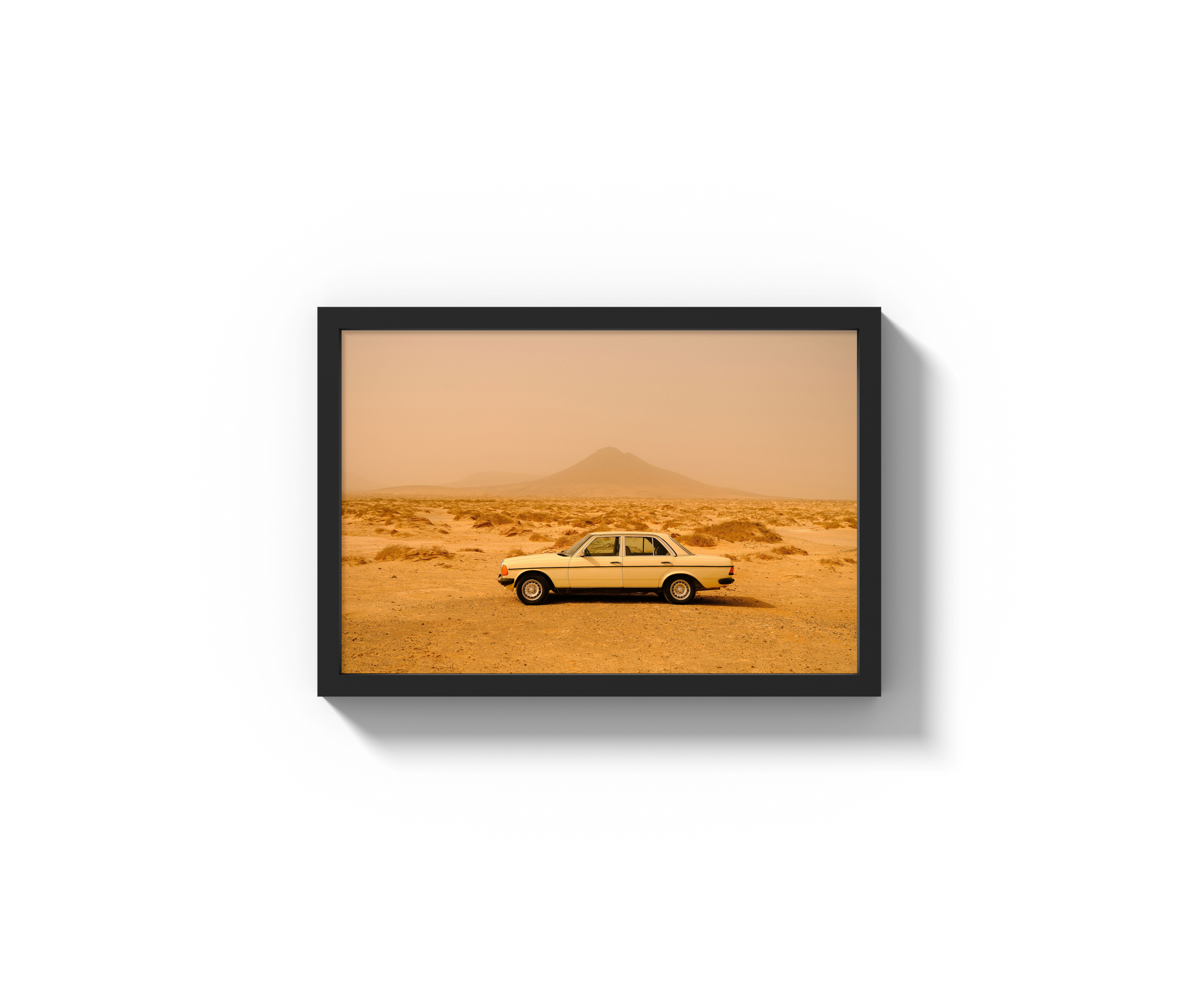 Desert Drive