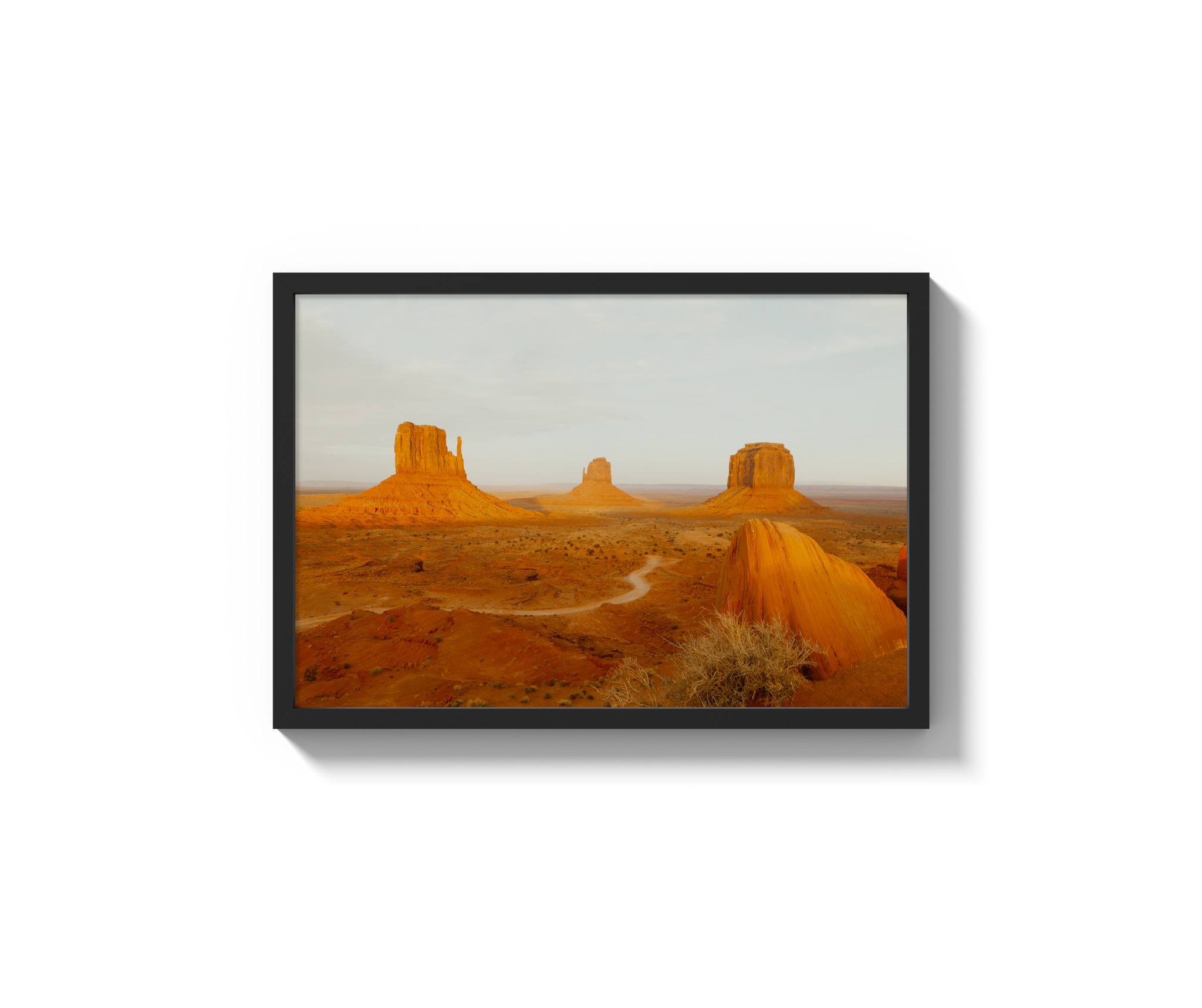 Navajo Nation