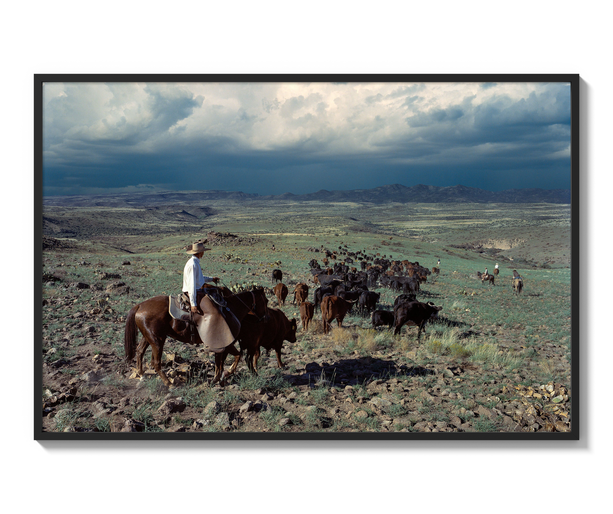 Monsoon Country