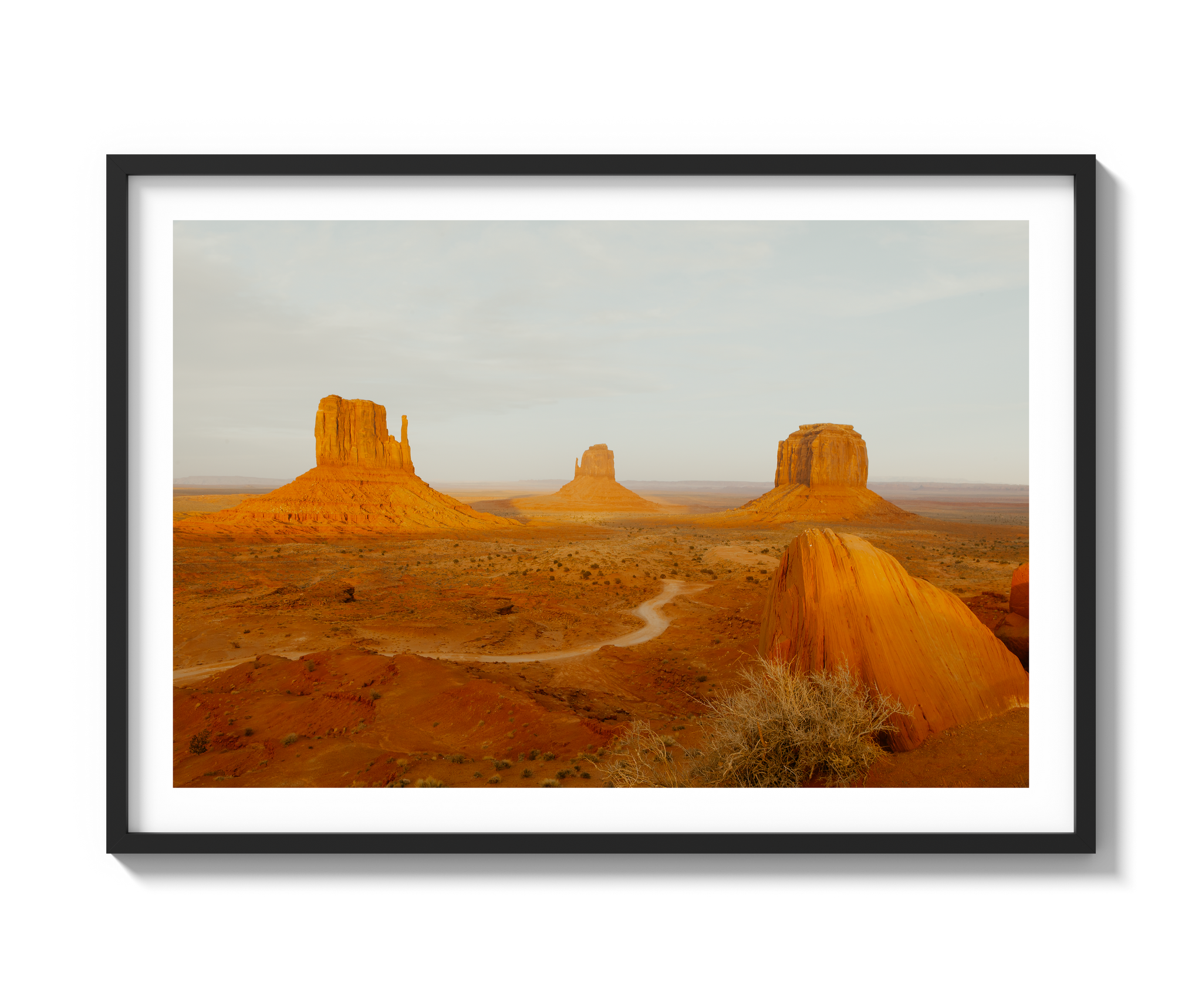 Navajo Nation