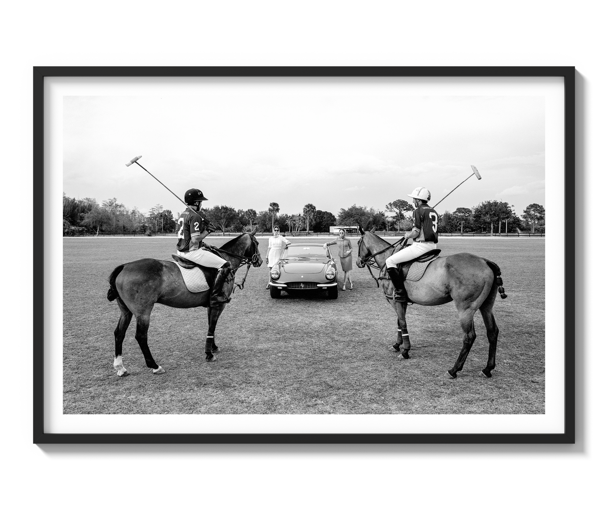 A Day of Polo