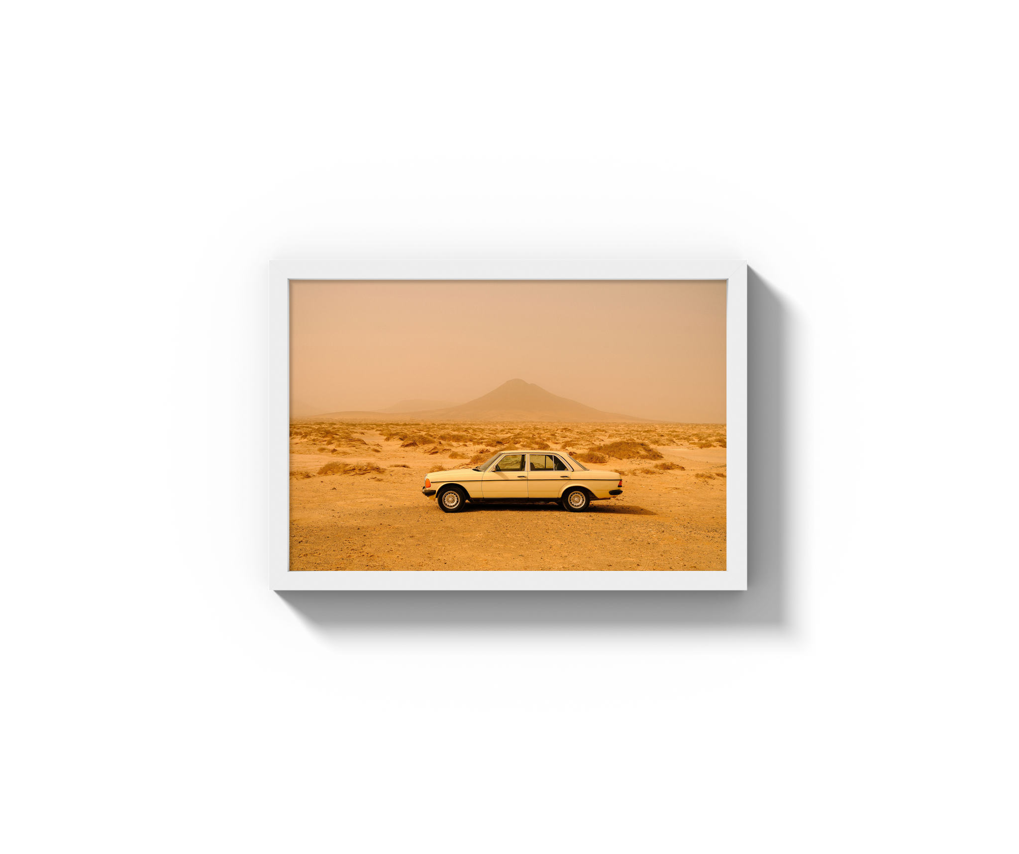 Desert Drive