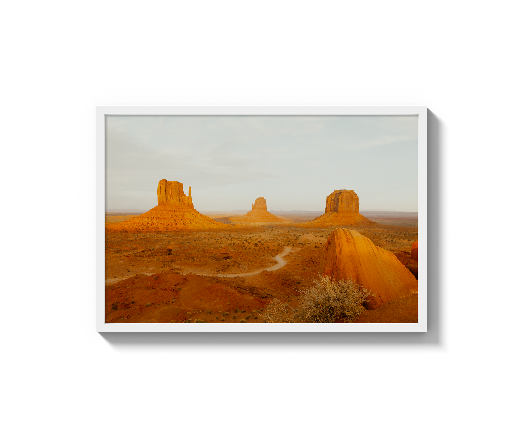 Navajo Nation