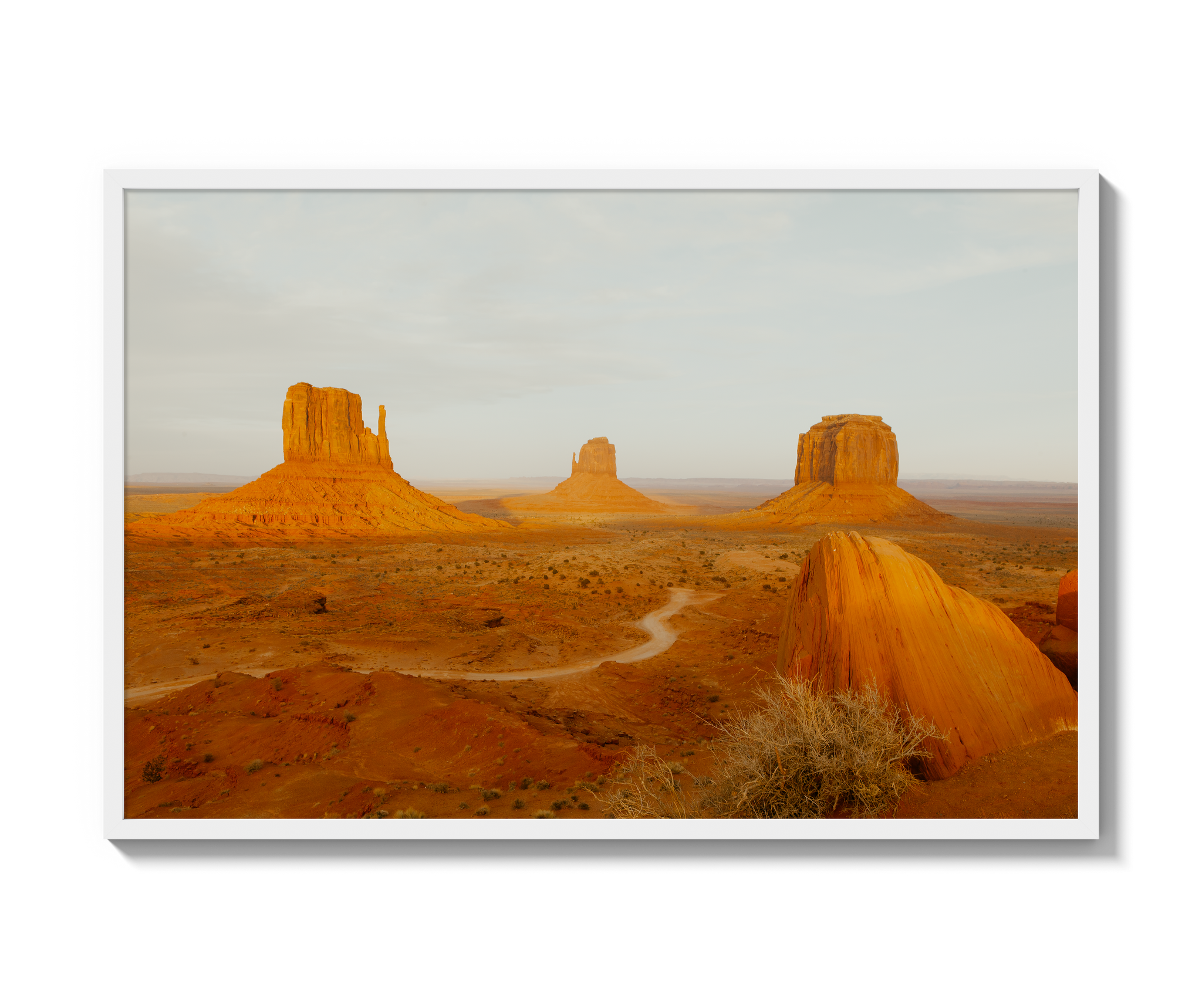 Navajo Nation