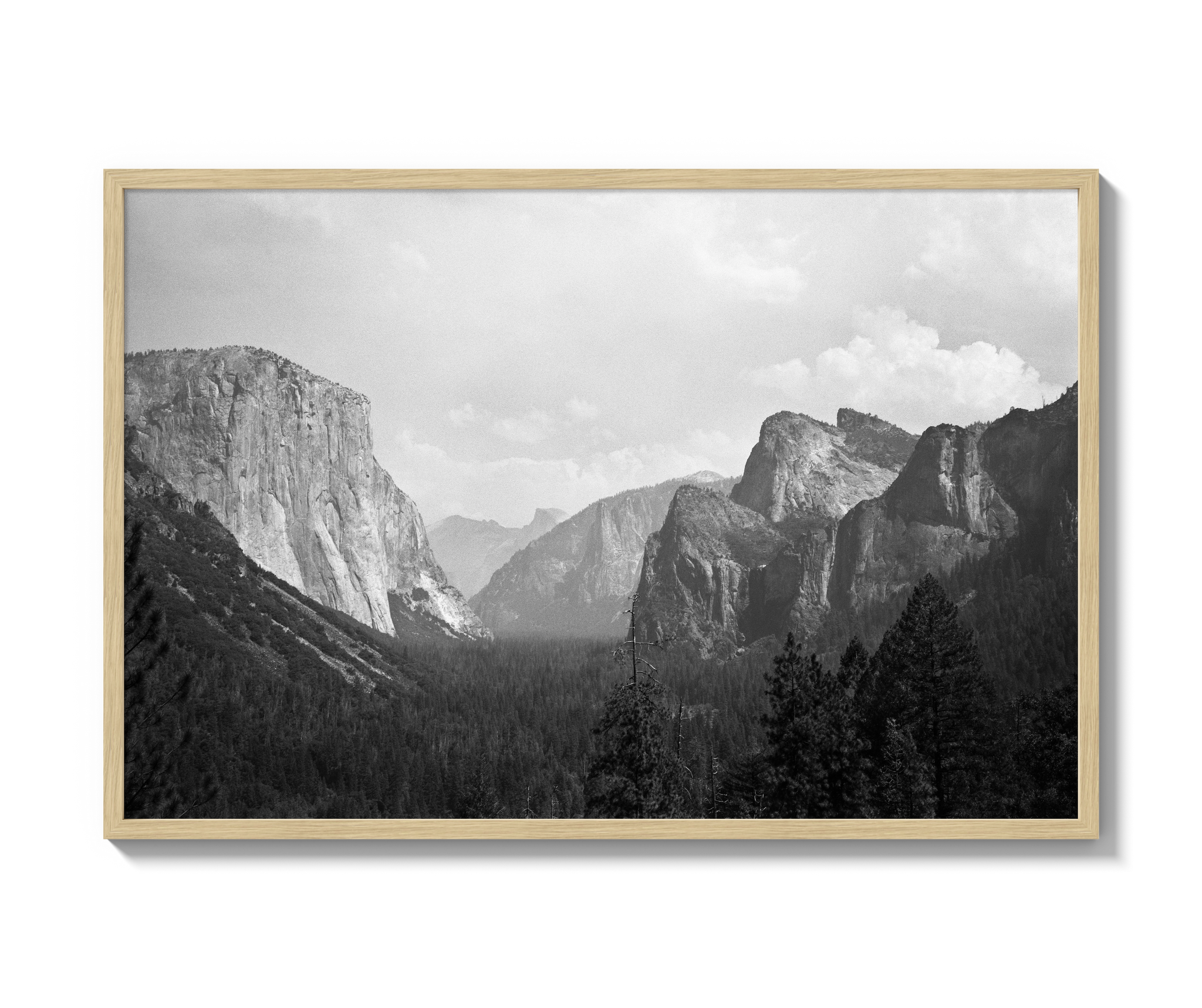 Yosemite N.02