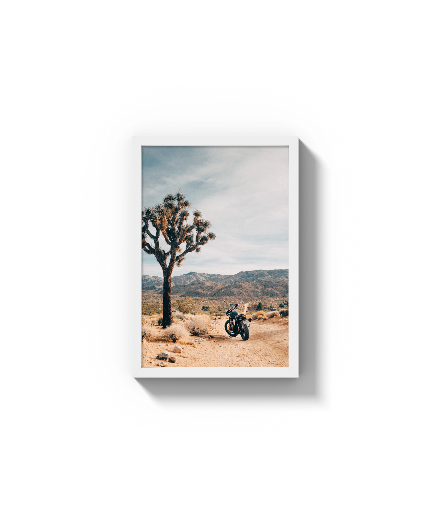 Joshua Tree IV