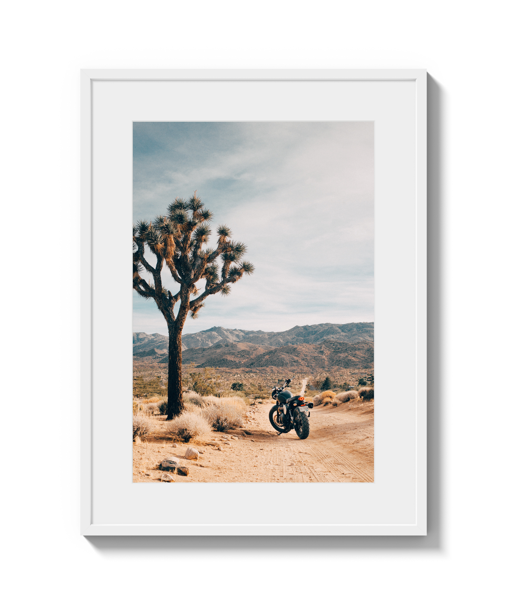 Joshua Tree IV