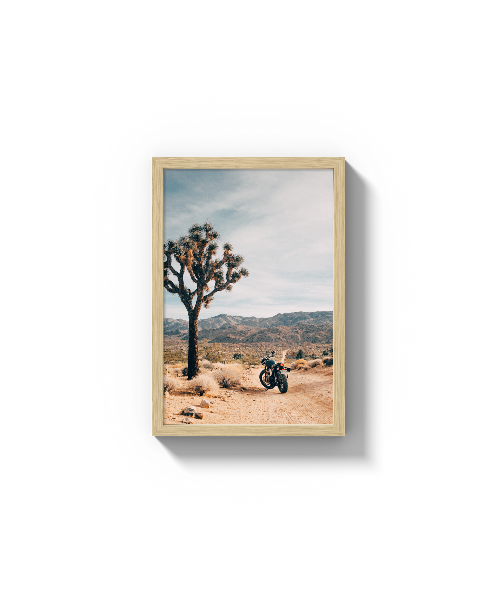 Joshua Tree IV