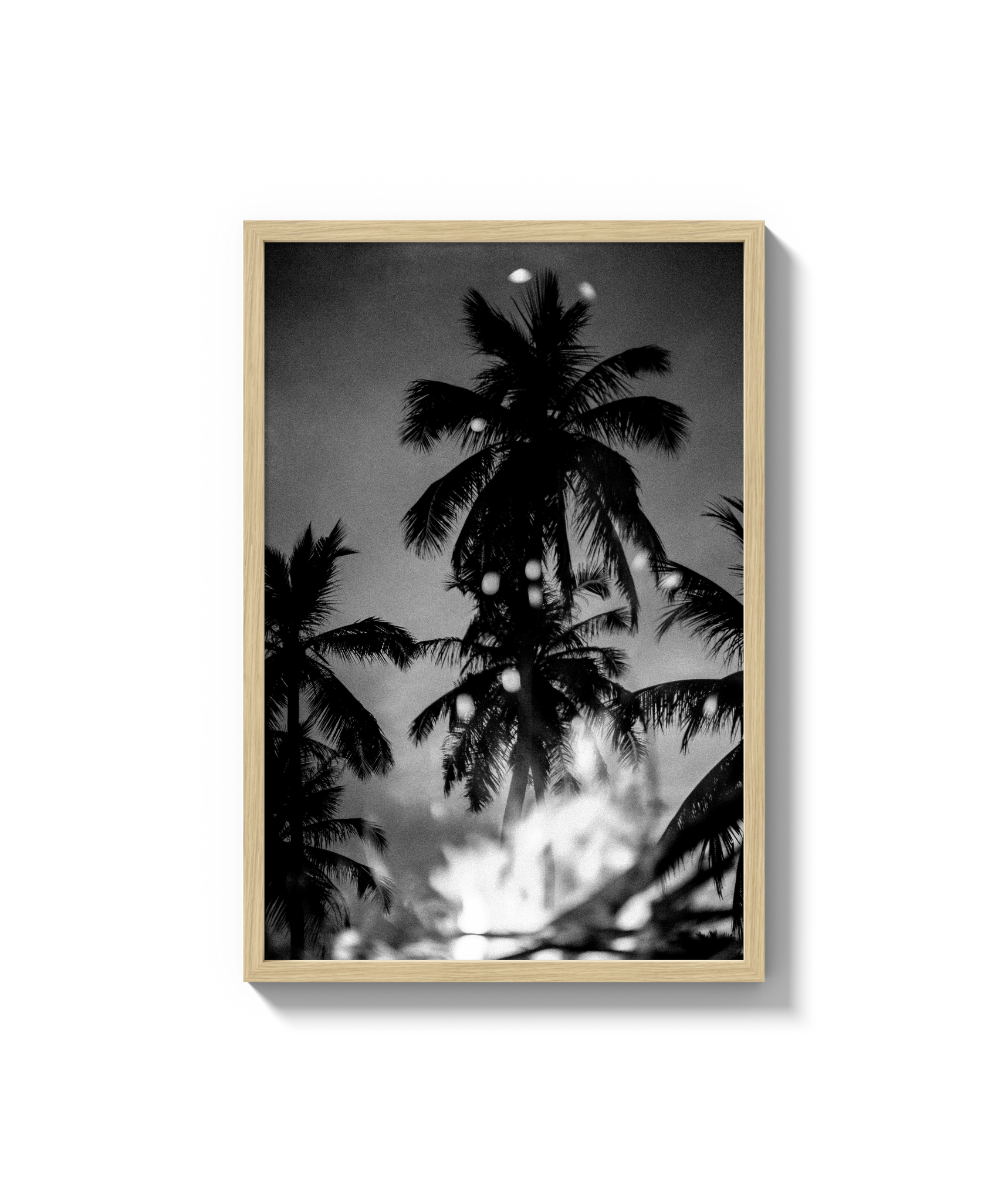 Palms