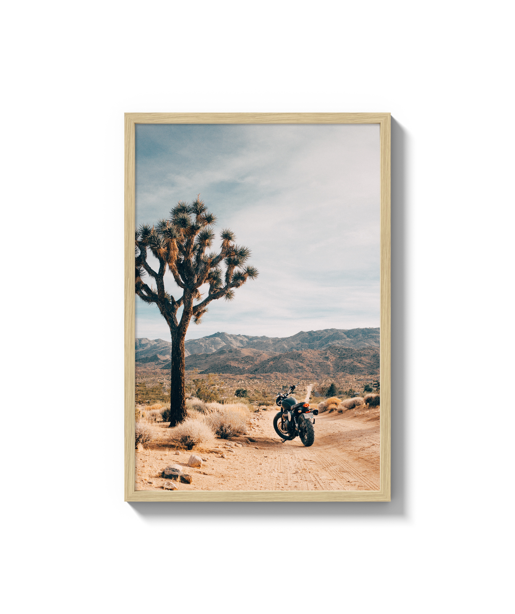 Joshua Tree IV