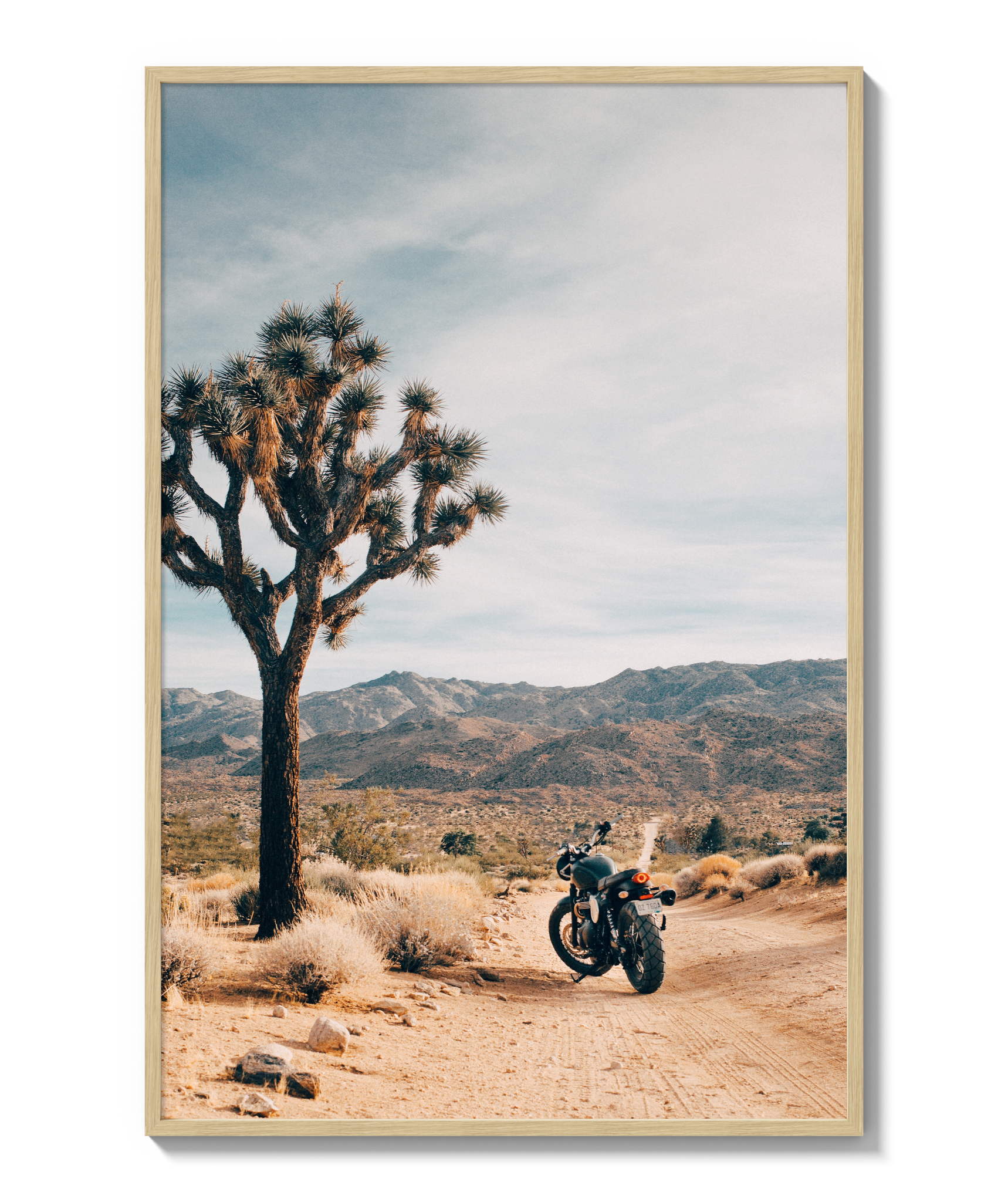 Joshua Tree IV