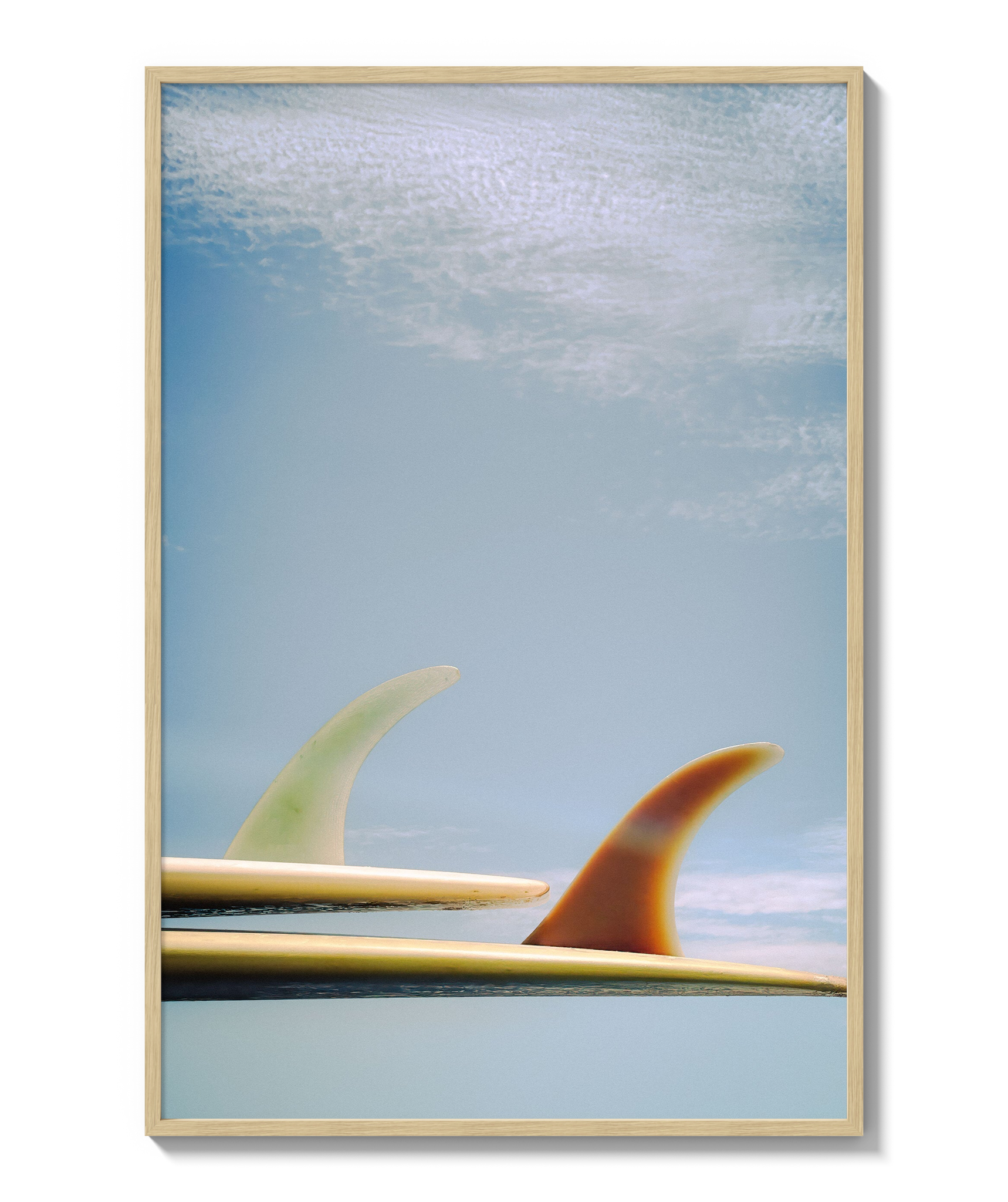 Single Fin Summer