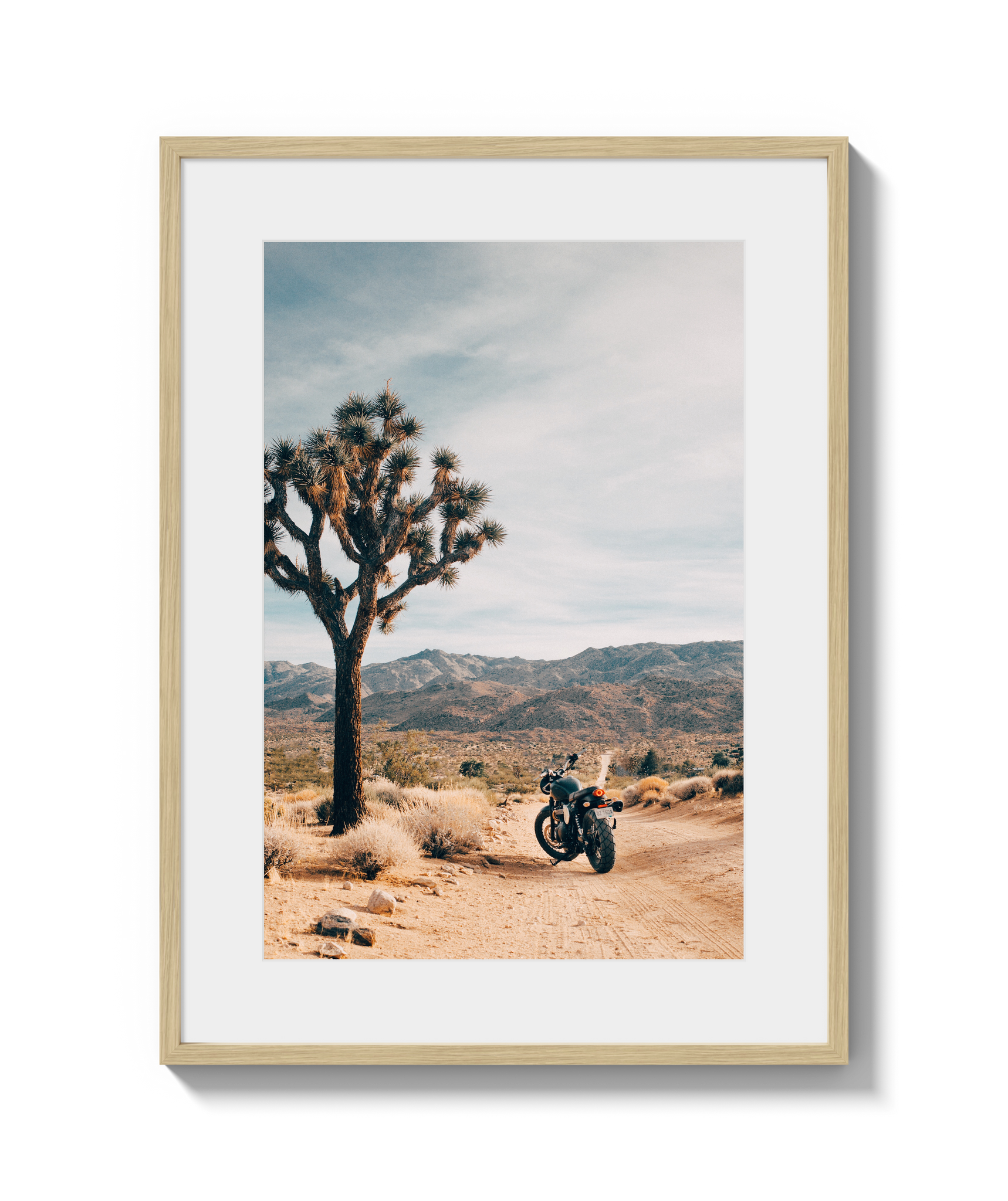 Joshua Tree IV