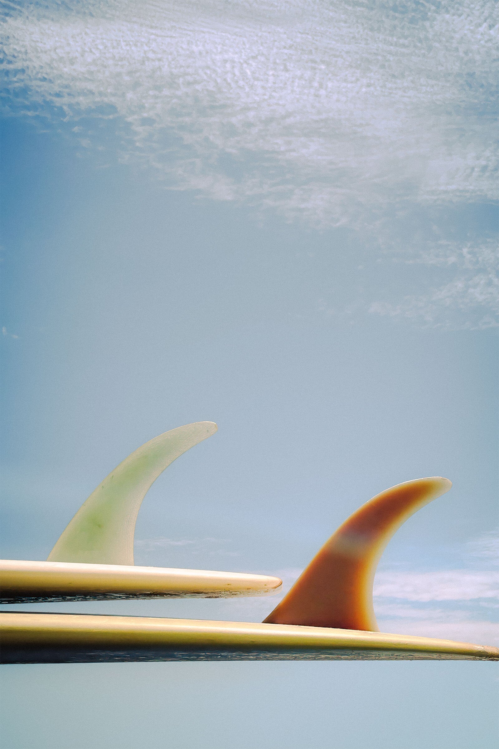 Single Fin Summer