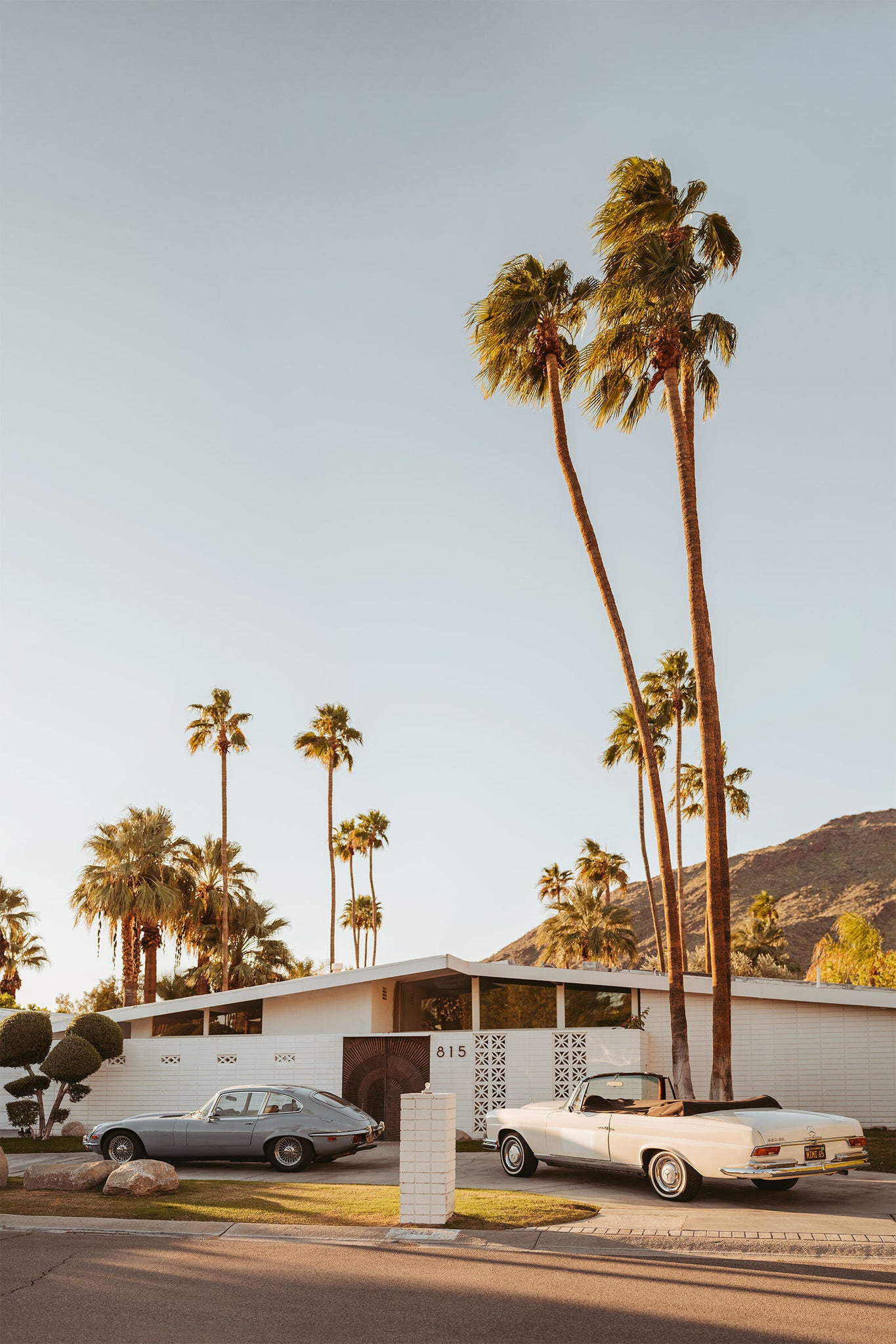 Parking lot Elegance