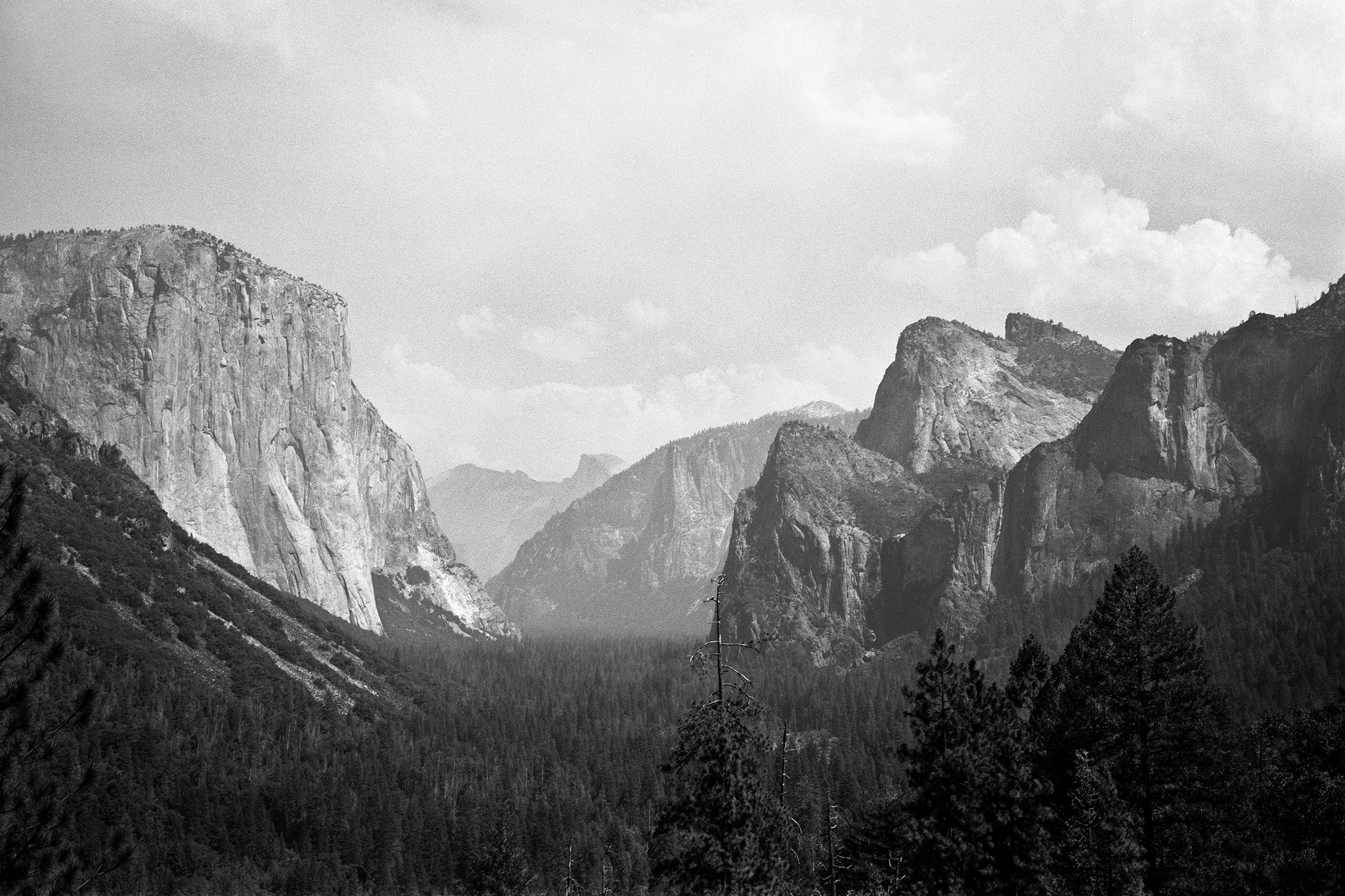 Yosemite N.02